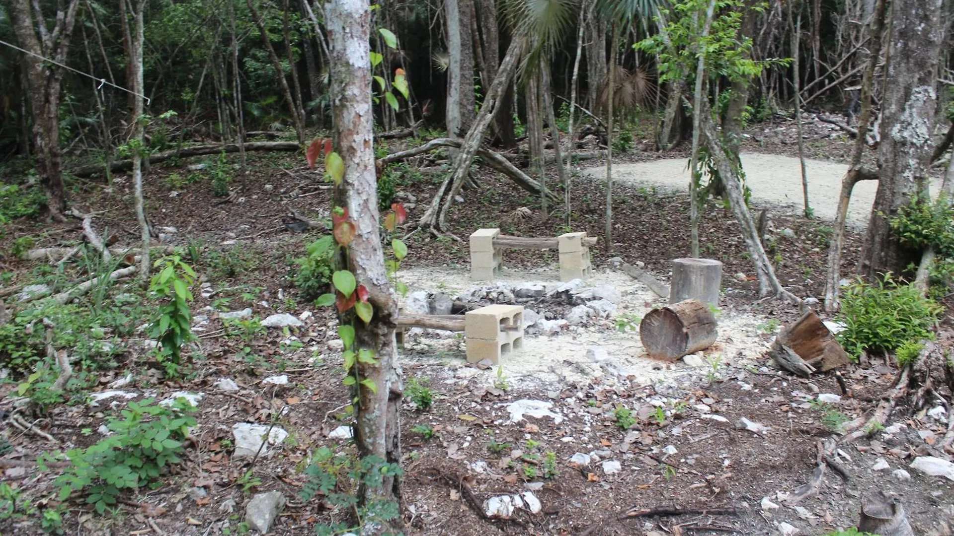 Campsite Stage One Camping Hotel Tulum