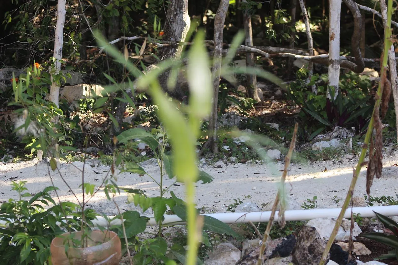 Campsite Stage One Camping Hotel Tulum