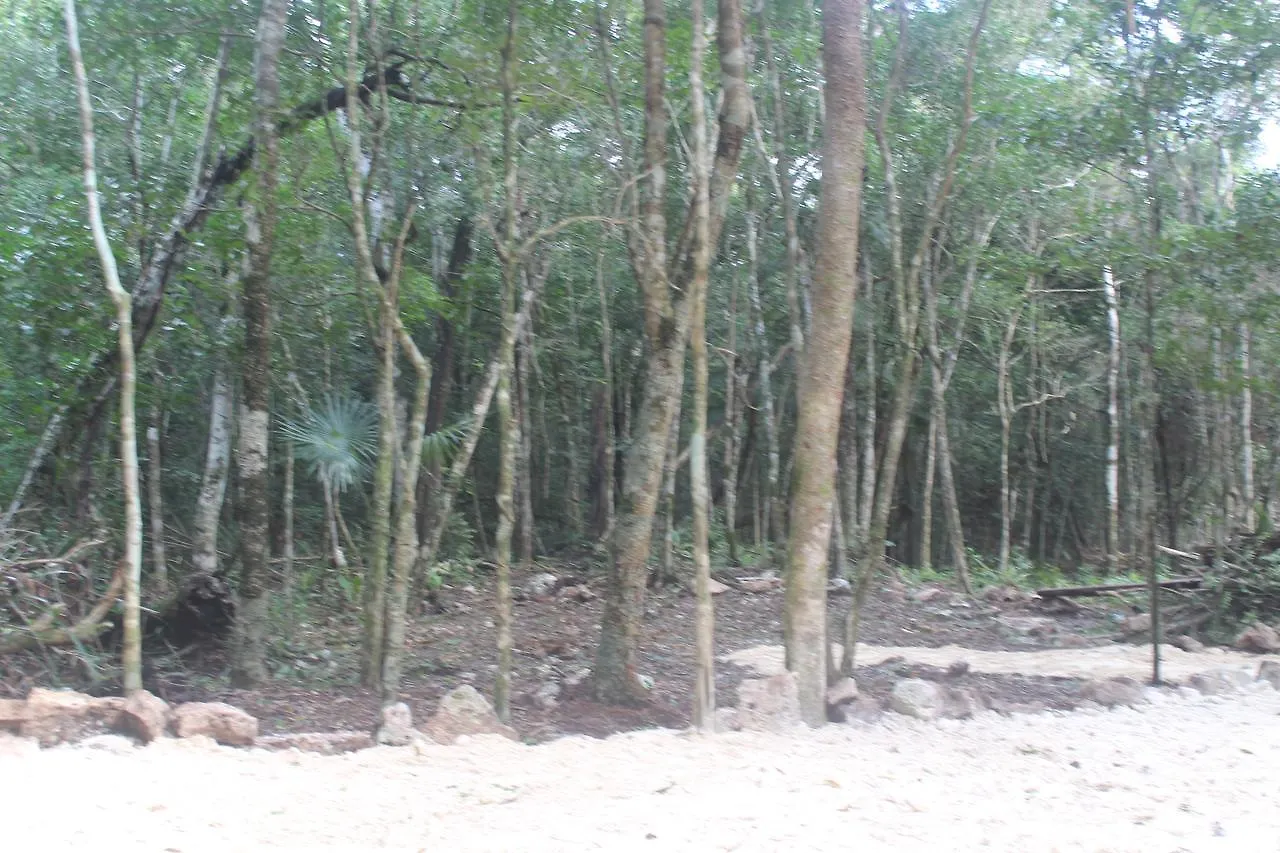 Stage One Camping Hotel Tulum 0*,  Mexico