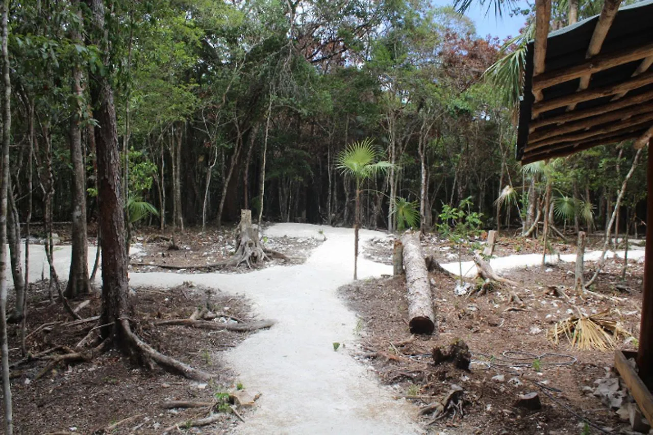 Stage One Camping Hotel Tulum Campsite