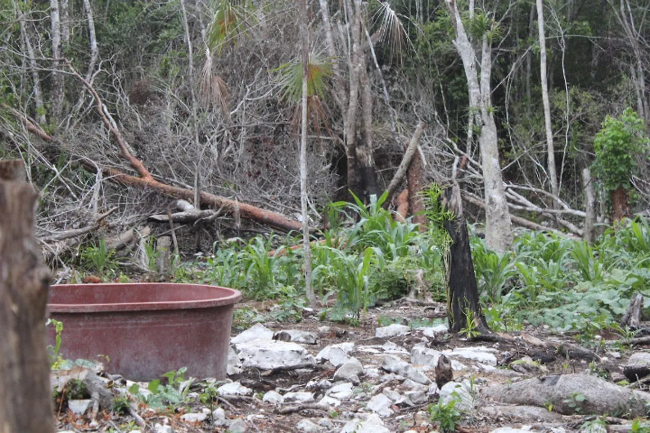 Stage One Camping Hotel Tulum Mexico