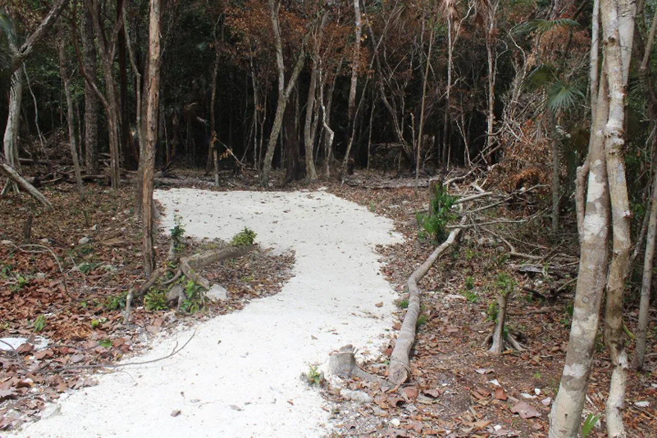 Stage One Camping Hotel Tulum 0*,  Mexico