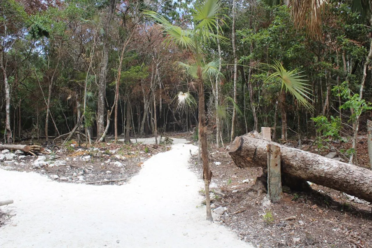 Campsite Stage One Camping Hotel Tulum Mexico