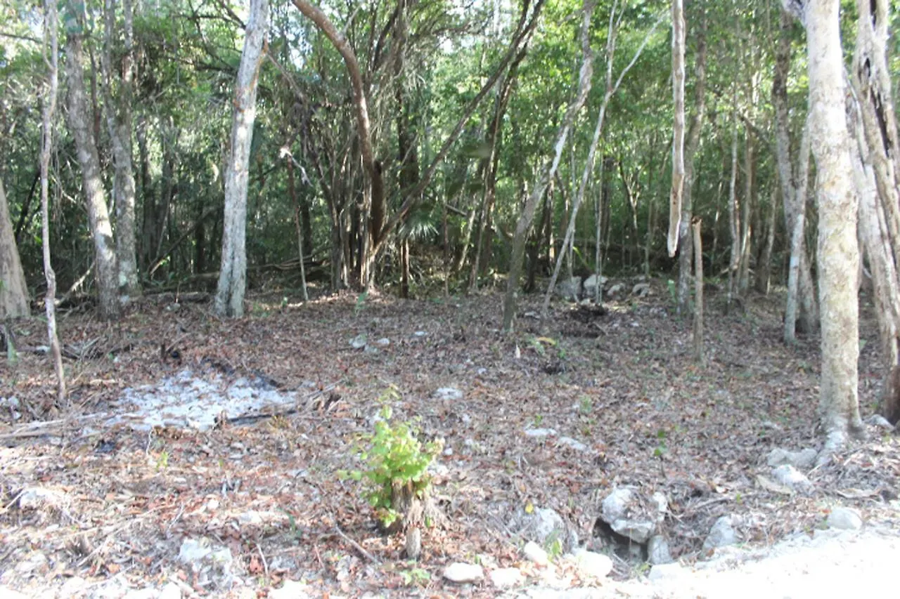 Stage One Camping Hotel Tulum
