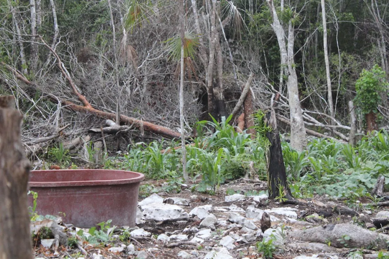 Stage One Camping Hotel Tulum Meksyk
