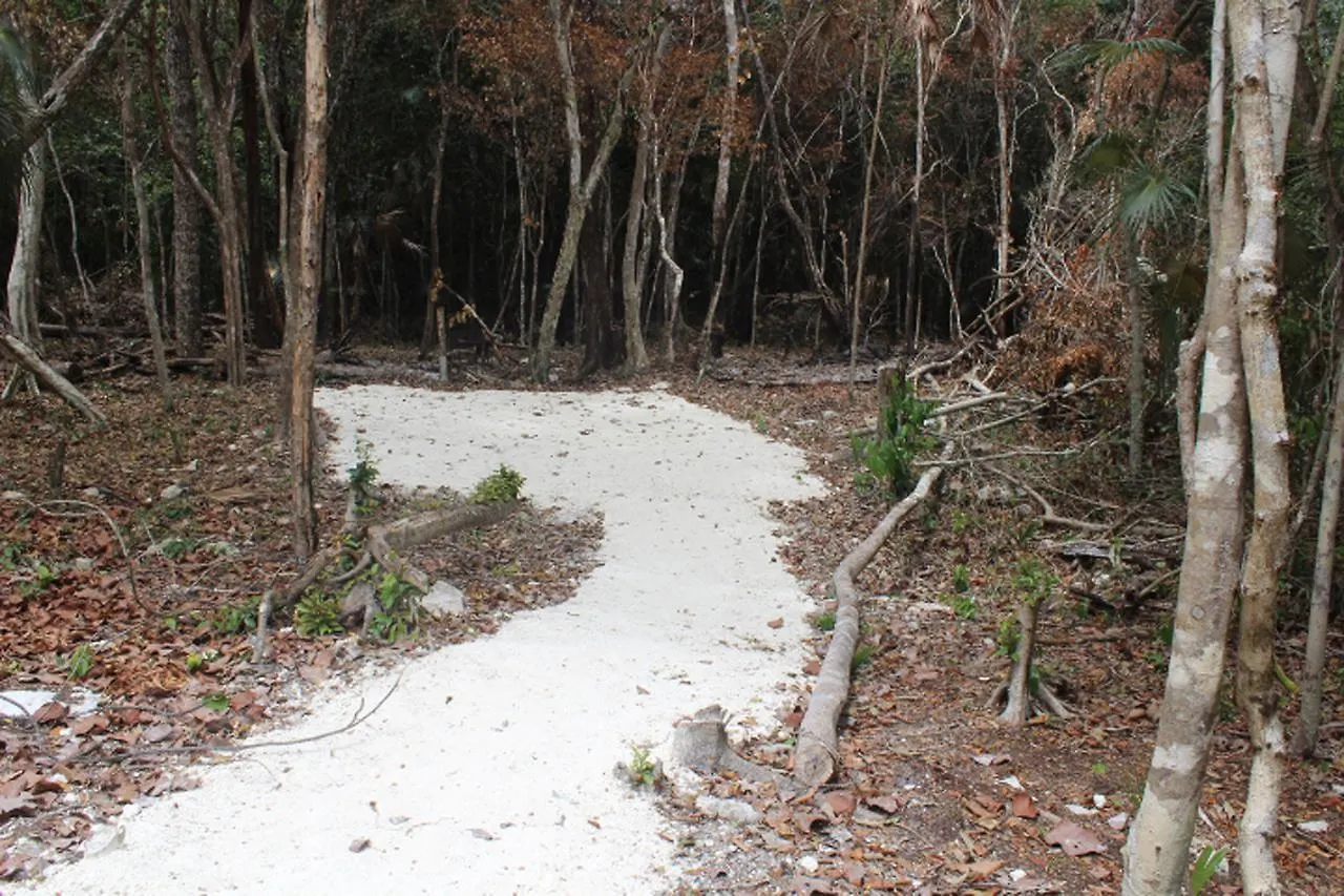 Stage One Camping Hotel Tulum 0*,  Meksyk